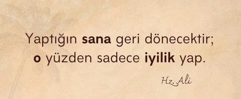 𝓗𝓪𝓴𝓲𝓶𝓮 𝓖𝓾𝓵𝓼𝓾𝓶 𝓗𝓲𝓬𝓻𝓮𝓽